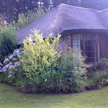 Coral Tree Cottages Harkerville Eksteriør billede